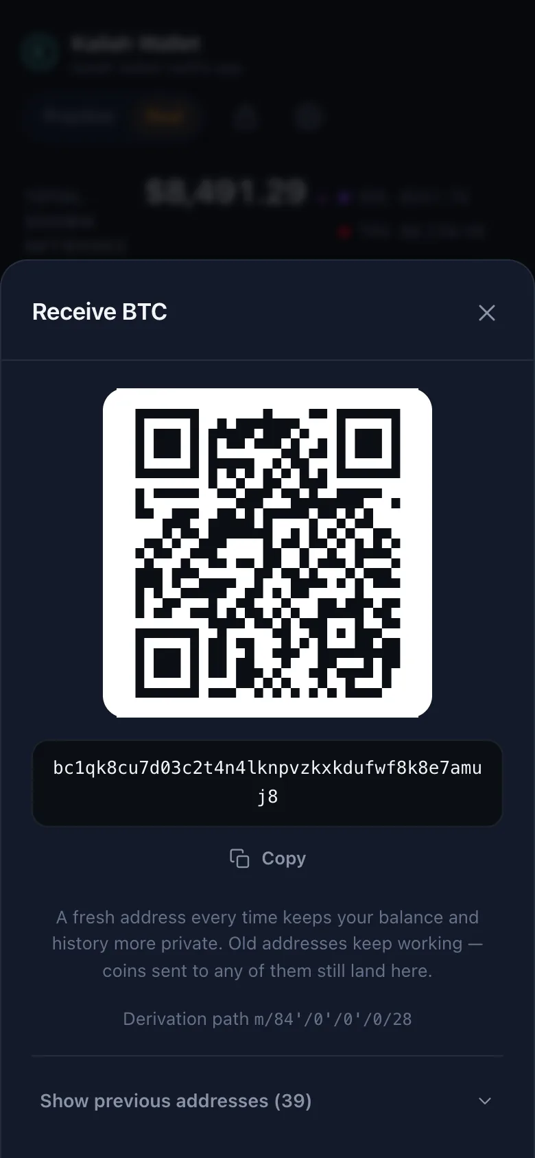 The Receive BTC screen: a QR code, the full bc1 address with a Copy button, and a note that a fresh address every time keeps your history more private.